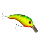 ISCA BORBOLETA GORDUCHA COR G3